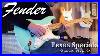 Fender_Texas_Special_Stratocaster_Pickups_01_ei
