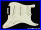 Fender_USA_Custom_Shop_1955_Relic_Stratocaster_LOADED_PICKGUARD_Strat_SG_01_rz