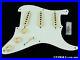 Fender_USA_Custom_Shop_1956_Relic_Stratocaster_LOADED_PICKGUARD_Strat_JOSEFINA_01_pat
