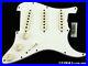 Fender_USA_Custom_Shop_1969_Relic_Stratocaster_LOADED_PICKGUARD_Strat_CG_01_ec