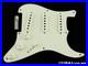 Fender_USA_Custom_Shop_58_C_R_Strat_TCP_LOADED_PICKGUARD_Stratocaster_GR_01_sp