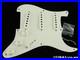 Fender_USA_Custom_Shop_58_C_R_Strat_TCP_LOADED_PICKGUARD_Stratocaster_GR_01_vblg