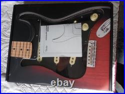 Fender USA Custom Shop Texas Special loaded Stratocaster pickguard