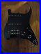 Fender_USA_Loaded_Pickguard_01_rdh