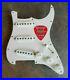 Fender_USA_Special_Stratocaster_Strat_Loaded_Pickguard_withTexas_Special_PUs_NEW_01_nfqh