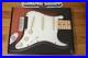 Genuine_Fender_Factory_Pre_Wired_Pure_Vintage_65_Loaded_Pickguard_01_jbs