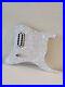 Genuine_OEM_Fender_Tom_Delonge_USA_Seymour_Duncan_Invader_Loaded_Pickguard_01_wrhj