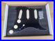 Gilmour_Style_Strat_Loaded_Pickguard_DSOTM_Tone_Black_3_Ply_Dark_Moon_01_idlk