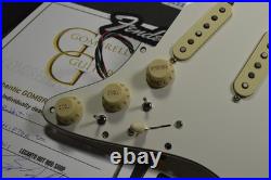 JACKRABBIT Fender PLAYER II Loaded Stratocaster Pickguard POWERSHIFTERT wired