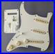 LEFTY_Fender_Player_Plus_Stratocaster_SSS_LOADED_PICKGUARD_NOISELESS_PICKUPS_01_wwus