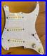 Loaded_Stratocaster_Pickguard_Tone_Hatch_Boutique_Pickups_Freeway_10_switch_01_elg