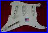 Loaded_Upgrade_Fits_SSS_Stratocaster_Strat_Has_35_Pickup_Tones_Treble_Bleed_01_ii