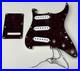 OEM_Factory_Original_2018_Fender_Player_Strat_Loaded_Pickguard_withBack_Alnico_PU_01_gs