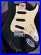 Original_Fender_Lace_Sensor_Loaded_Pickguard_01_vi