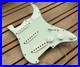 Proper_Pickguards_SOTB_Stratocaster_Loaded_Pickguard_Equipped_With_Proper_Passive_01_hspd