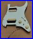 SH_GuitarWorks_Custom_Stratocaster_HH_Loaded_Pickguard_Alnico_5_USA_Electronics_01_pj
