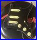 SH_GuitarWorks_Custom_Stratocaster_HSS_Loaded_Pickguard_Alnico_5_USA_Electronics_01_umkg