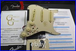 STEAMTRAIN Fender Loaded Stratocaster Pickguard HYPERSHIFTERT US Tex-Mex Mix STEAMTRAIN Fender Loaded Stratocaster Pickguard HYPERSHIFTERT US Tex-Mex Mix