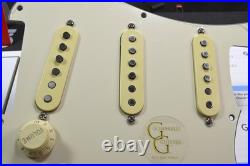 STEAMTRAIN Fender Loaded Stratocaster Pickguard HYPERSHIFTERT US Tex-Mex Mix STEAMTRAIN Fender Loaded Stratocaster Pickguard HYPERSHIFTERT US Tex-Mex Mix