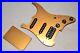 STRATOCASTER_Strat_LOADED_GOLD_PICKGUARD_BACK_Pickups_COMPLETE_PLATE_SETUP_Works_01_eyi