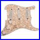 Seymour_Duncan_Dave_Murray_Loaded_Pickguard_01_kwpy