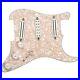 Seymour_Duncan_Dave_Murray_Loaded_Pickguard_01_sj