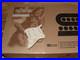 Seymour_Duncan_Dave_Murray_Loaded_Pickguard_WHITE_New_in_Box_Warranty_01_eb