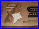 Seymour_Duncan_Dave_Murray_Loaded_Pickguard_WHITE_New_in_Box_Warranty_01_yjqh