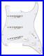 Seymour_Duncan_Jimi_Hendrix_Signature_Loaded_Pickguard_Voodoo_Style_01_zgfb