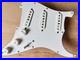 Strat_Loaded_Pickguard_Vintage_60s_Hand_Wound_Alnico_5_CTS_Oak_Grigsby_Prewired_01_wd