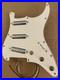 Stratocaster_Loaded_Pick_guard_with_Lipstick_Tube_Alnico_5_Pickups_01_zi