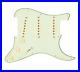 Texas_Vintage_Strat_Guitar_5_Way_Loaded_Pickguard_Mint_Green_Aged_White_by_920D_01_hlsd