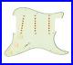 Texas_Vintage_Strat_Guitar_5_Way_Loaded_Pickguard_Mint_Green_Aged_White_by_920D_01_nl
