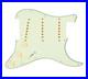 Texas_Vintage_Strat_Guitar_5_Way_Loaded_Pickguard_Mint_Green_Aged_White_by_920D_01_ouxr