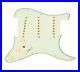 Texas_Vintage_Strat_Guitar_7_Way_Loaded_Pickguard_withToggle_Mint_Green_AW_920D_01_nmpi