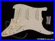 USA_Fender_Custom_Shop_Ltd_70th_Annie_Strat_GH_NOS_LOADED_PICKGUARD_GR_01_klyv