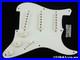 USA_Fender_Custom_Shop_Ltd_70th_Annie_Strat_NOS_LOADED_PICKGUARD_GR_01_jpi