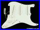 USA_Fender_Custom_Shop_Ltd_70th_Annie_Strat_NOS_LOADED_PICKGUARD_SGB_01_gu