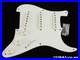 USA_Fender_Custom_Shop_Ltd_70th_Annie_Strat_NOS_LOADED_PICKGUARD_SG_01_dsx