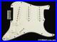 USA_Fender_Custom_Shop_W25_Custom_Deluxe_Stratocast_LOADED_PICKGUARD_Strat_GR_01_qvu
