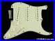 USA_Fender_Custom_Shop_W25_Custom_Deluxe_Stratocast_LOADED_PICKGUARD_Strat_SG_01_aon