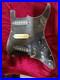 Vintage_MIJ_Gibson_Loaded_Pickguard_OLD_STRAT_STYLE_01_oud